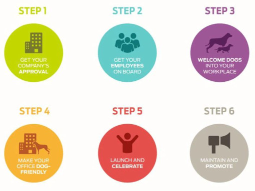 6 шагов для инфографики Альянса домашних животных на работе