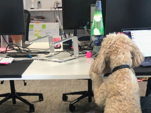 Преобразование Condé Nast