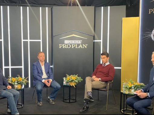 Круглые столы по профилактике ожирения