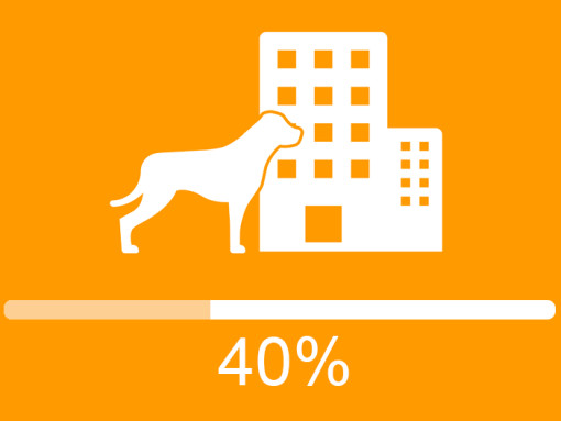 Инфографика собаки в офисе