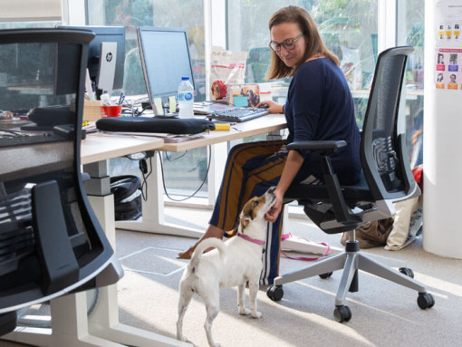 Женщина за столом гладит подбородок Джека Рассела