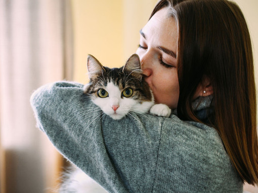 Woman hugging a cat at home