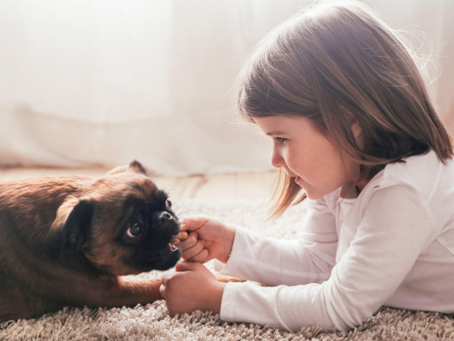 Пти брабсон играет с девочкой