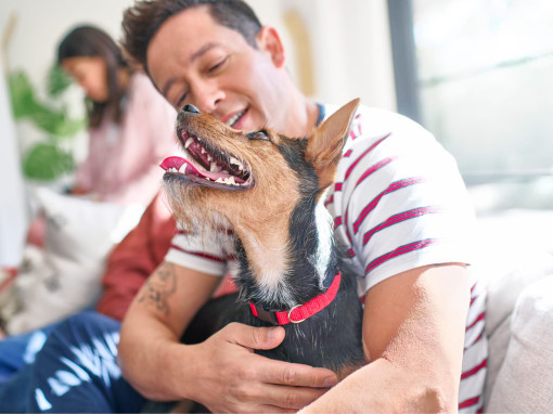 A man hugging his dog outdoors