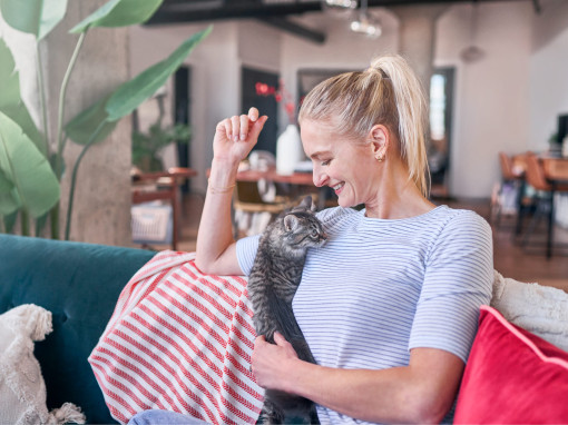 Promote responsible pet ownership programs