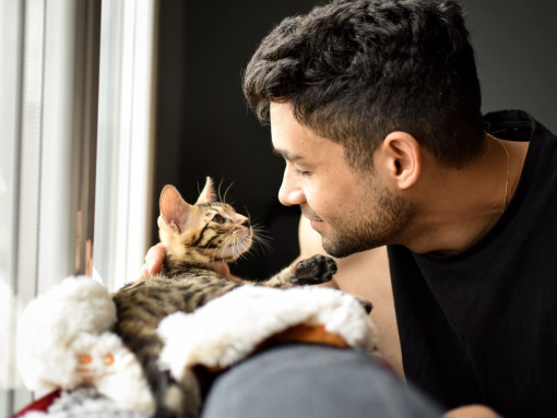 Продвигать программы ответственного отношения к домашним животным