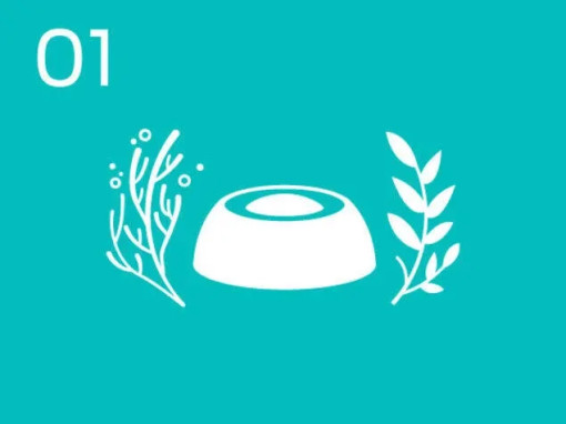 Innovate pet nutrition and source ingredients through regenerative practises.