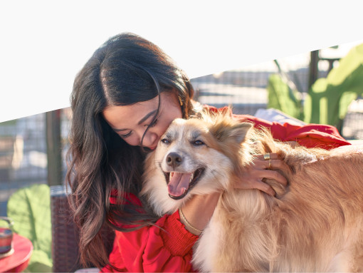 Woman hugging a cat outdoors on a sunny day