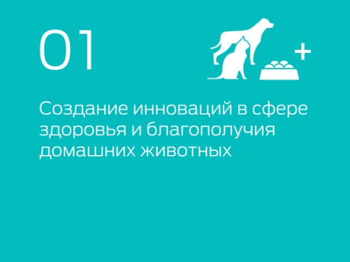 01 Инфографика о кормах для собак и кошек