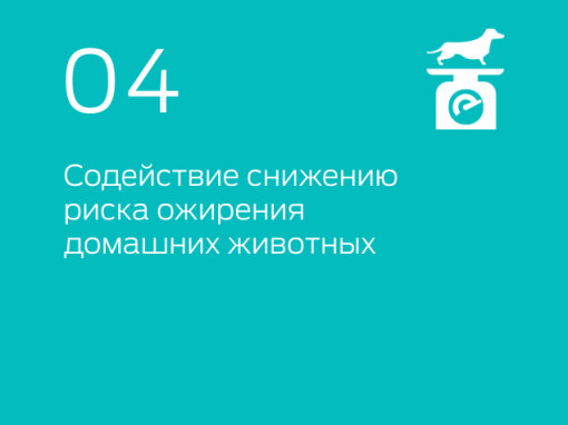 04 собака на весах инфографика