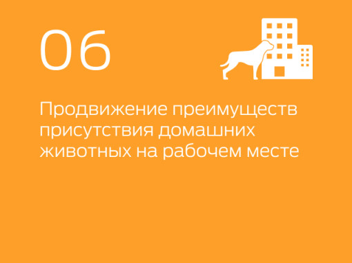 06 собака в офисном здании инфографика