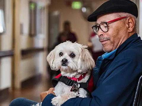 Использовать силу связи между человеком и питомцем для изменения качества жизни к лучшему