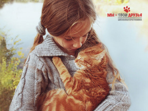 Продвигать программы ответственного отношения к домашним животным