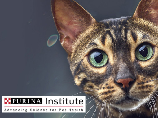 Purina Institute logo and cat