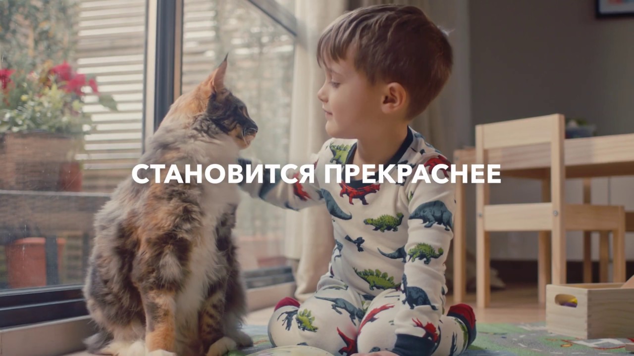 Обязательства PURINA